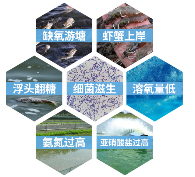 氨氮超標的危害,以及高氨氮廢水如何處理